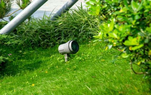 Tsz Shan Monastery (3) Tsz Shan Monastery (3)