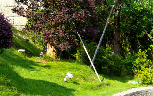 Tsz Shan Monastery (5) Tsz Shan Monastery (5)