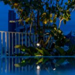 DSC05074-Enhanced-NR