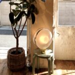 Studio NOI_představení novinek_2019