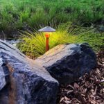 Tier-Light-square-1024×1024