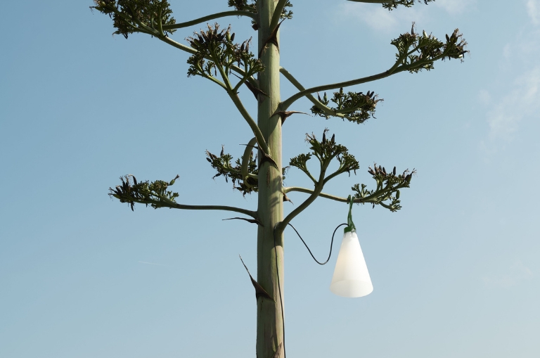 Mayday Lamp